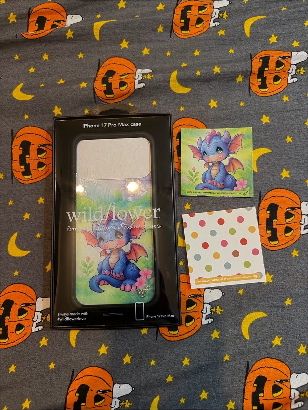 Wildflower iPhone 17 Pro Max Case (Precious Moments Dragon Dreams)